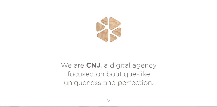 CNJ Agency
